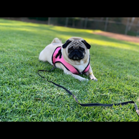 Meet your Posher, B - Picture 1 of 1